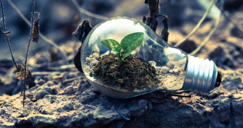 Fotomontaje en color de una bombilla en cullo interior crece una planta