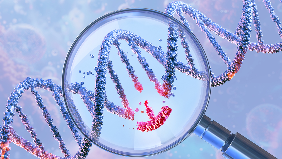 Grado en Bioquímica