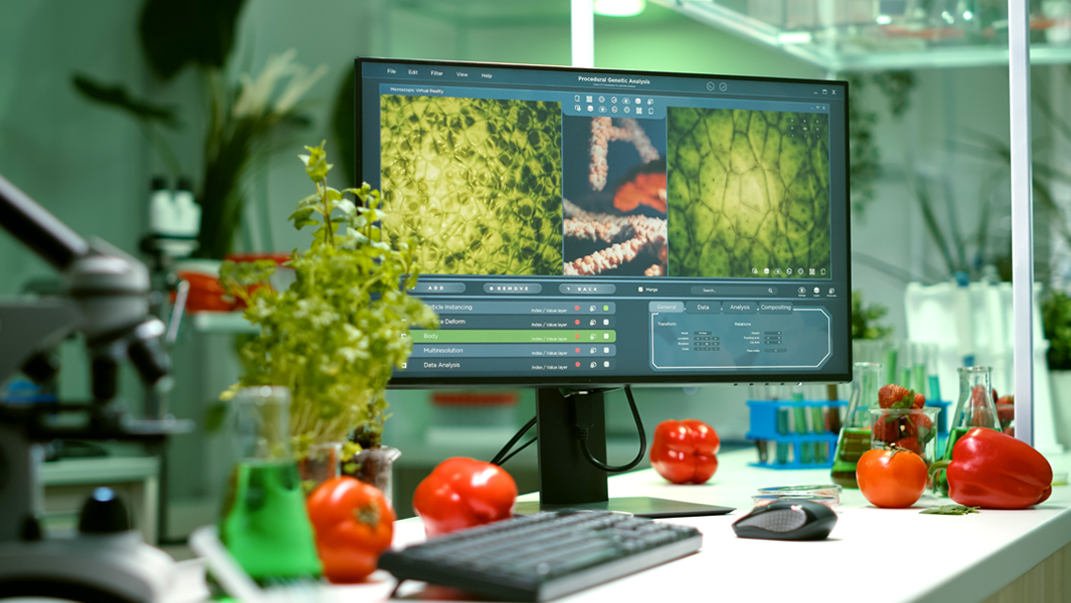 Doble Grado en Nutrición Humana y Dietética + Ciencia y Tecnología de los Alimentos