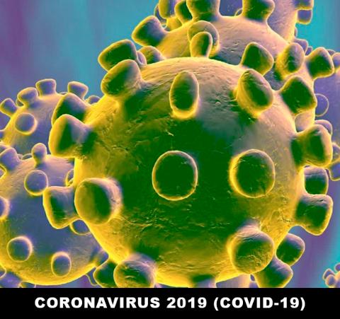 Información servicio en crisis coronavirus
