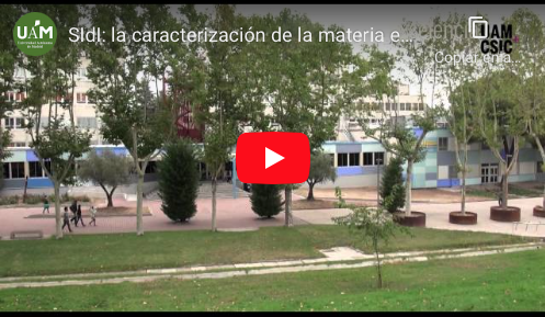 Vídeo 20 Aniversario SIdI