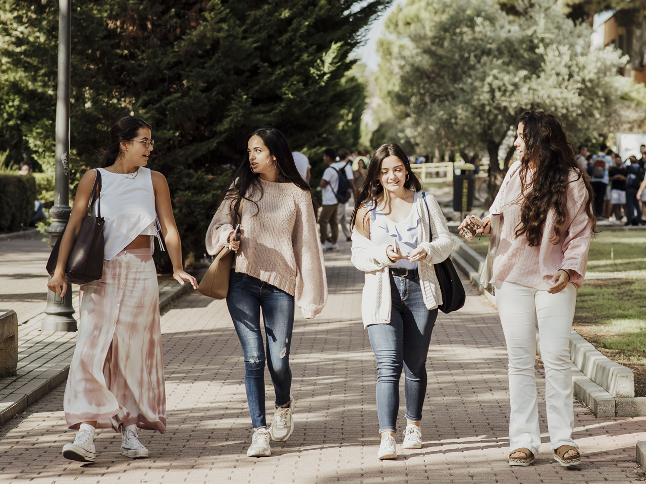 Oferta de plazas y académica, ponderaciones, notas de corte...