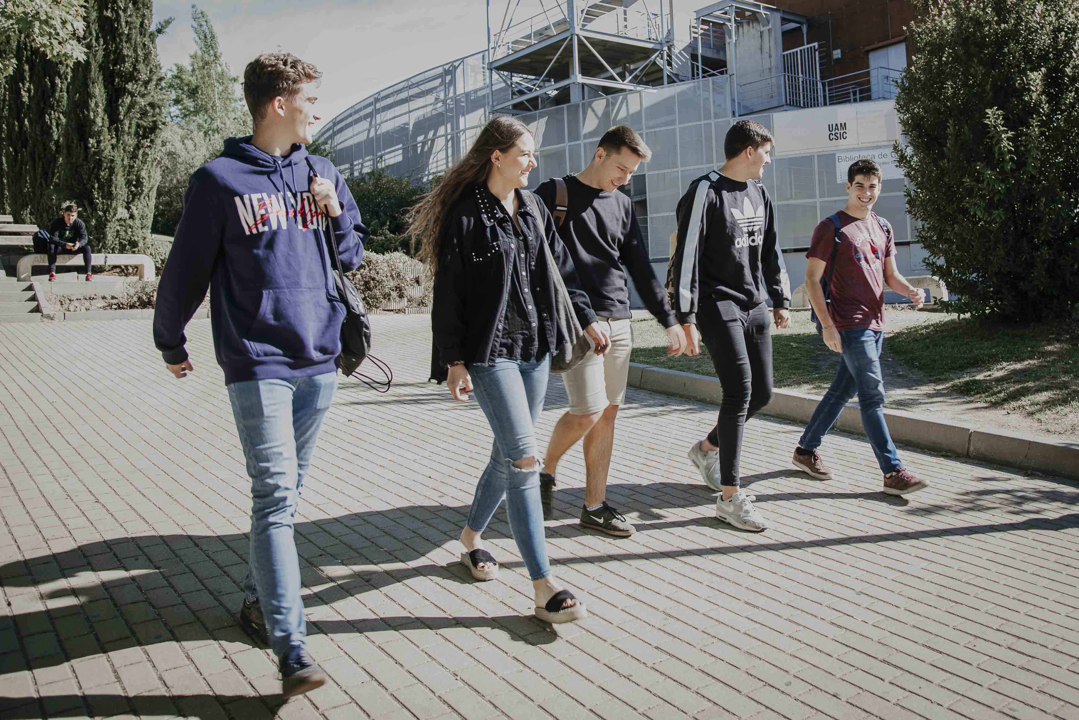 Un grupo de cinco estudiantes camina junto a la Biblioteca de Ciencias 