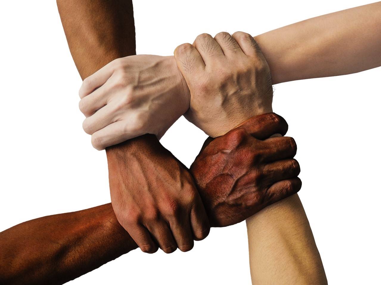 Imagen de cuatro manos de distintas razas entrelazadas