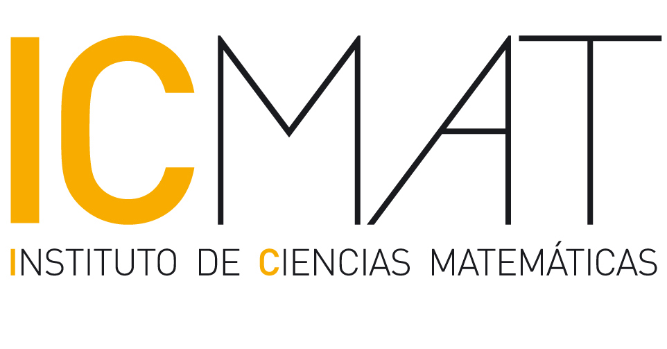 INSTITUTO DE CIENCIAS MATEMÁTICAS (ICMAT)