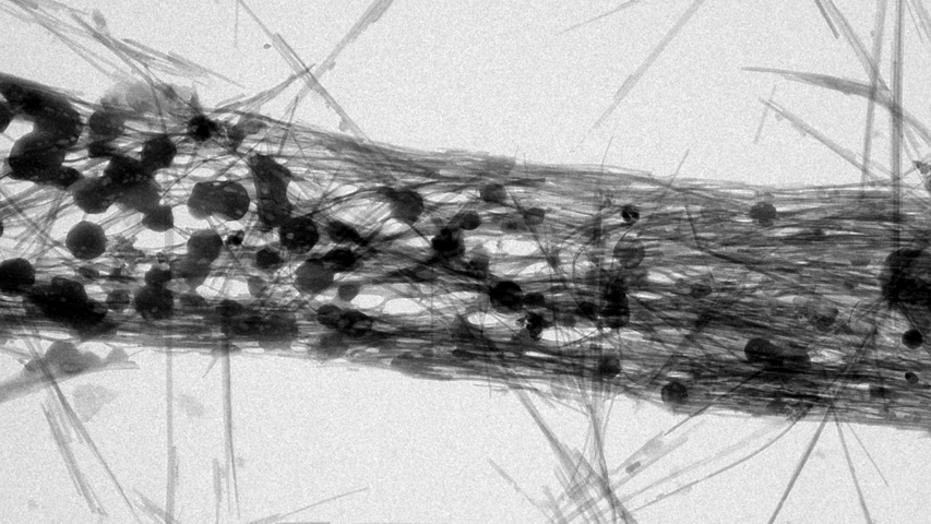 Nanocuerda trenzada con cuarzo y sepiolita-I CERTAMEN DE FOTOGRAFÍA CIENTÍFICA DE ARCILLAS-Santiago Leguey 1 2 3 4 5 6 7 8 9