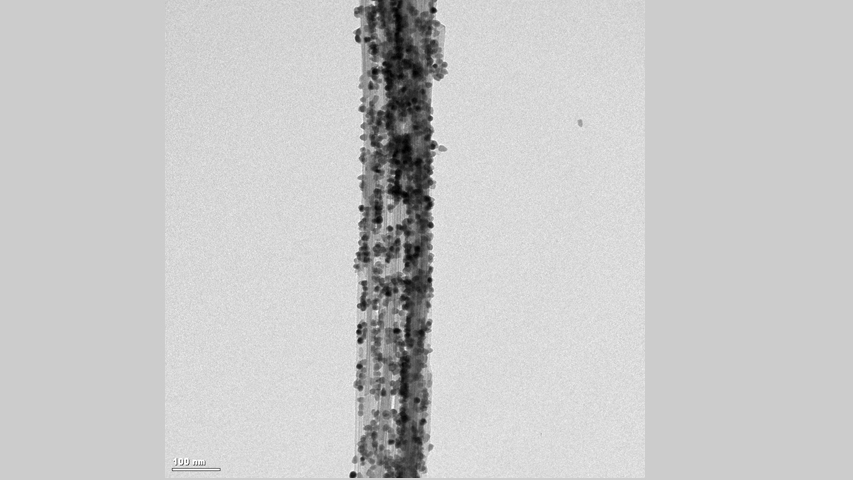 Nanopartículas. Dra. Beatriz Hernández