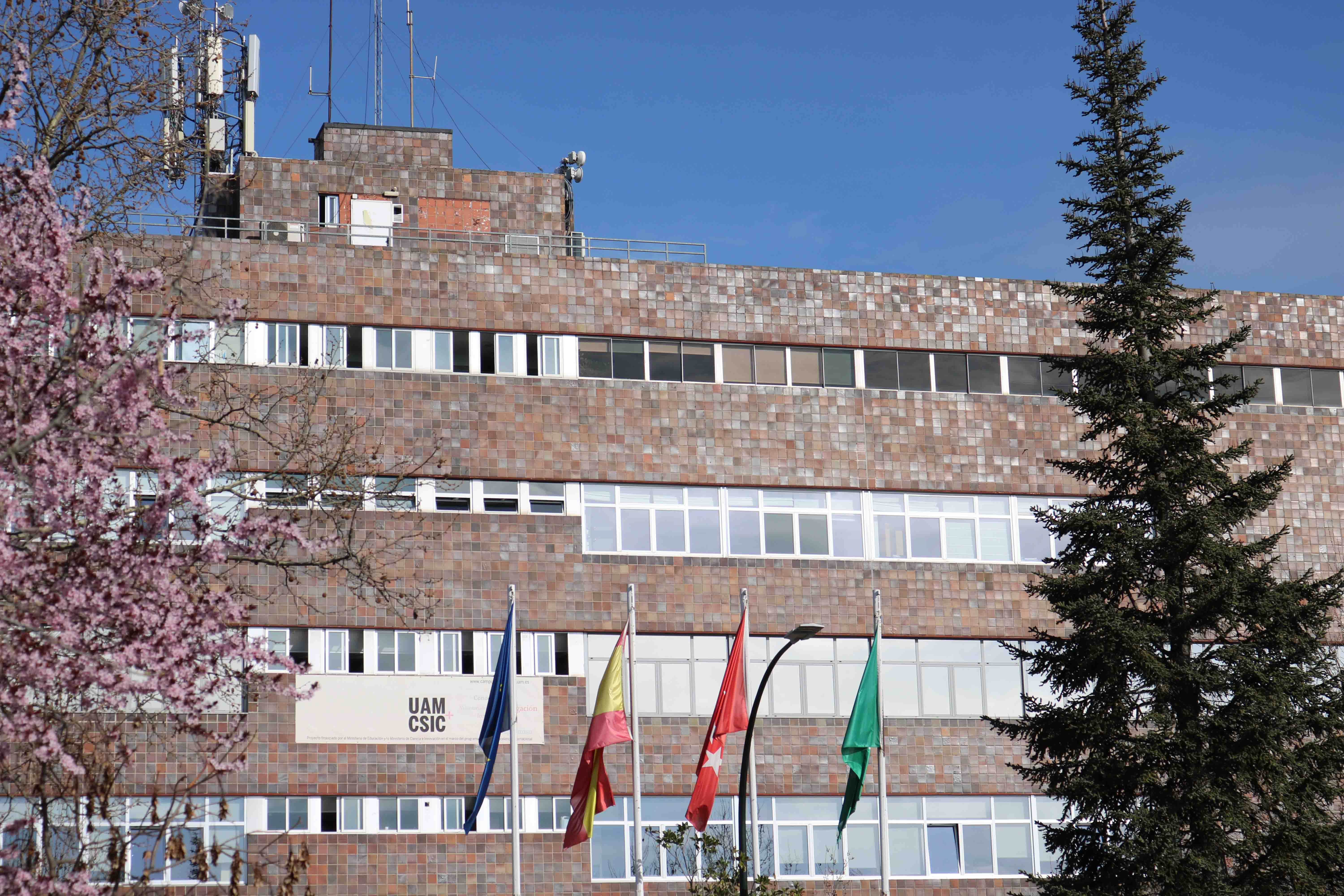 Banderas izadas en el rectorado