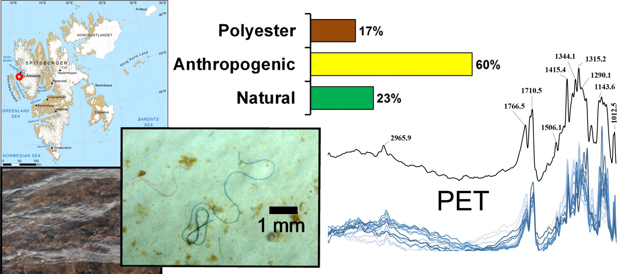 Imagen que muestra la localización del área de estudio, tipos de micropartículas encontradas e imagen de una fibra encontrada y el espectro, que permite su identificación / Science of the Total Environment