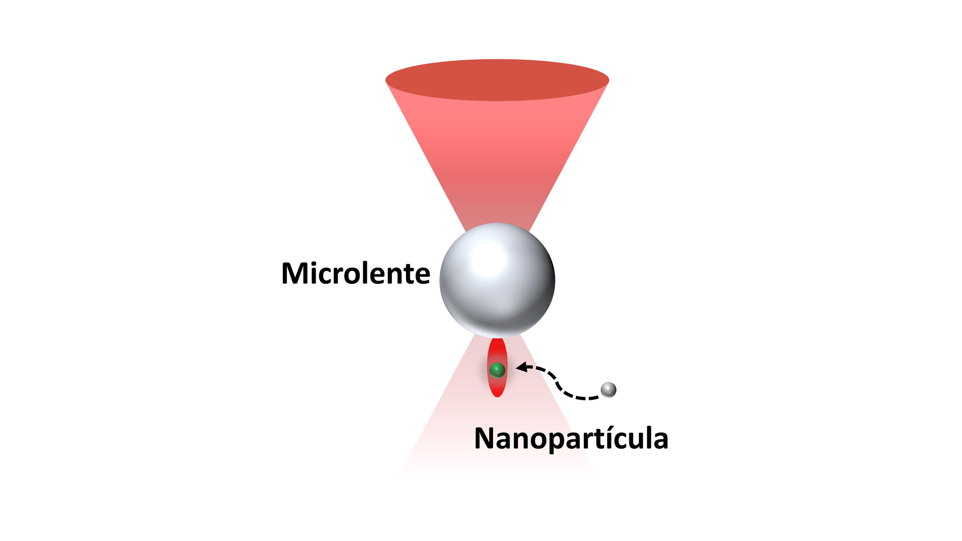 Esquema de una microlente generando un foco del láser que permite la manipulación de nanopartículas