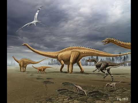 La icnología de saurópodos en tiempos del COVID-19