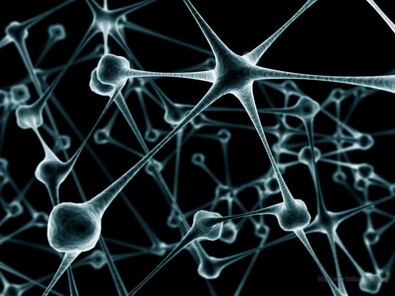 Exposición La investigación en neurociencia en la Facultad de Psicología de la UAM