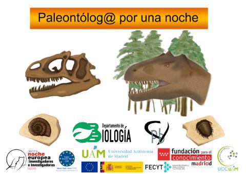Cartel del taller Paleontólogo por una noche