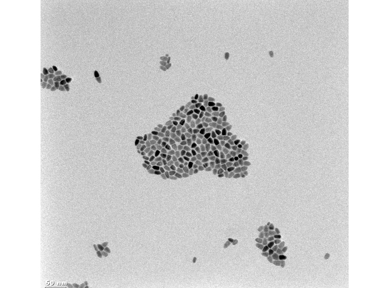 Nanopartículas. Cortesía Dra. Beatriz Hernández