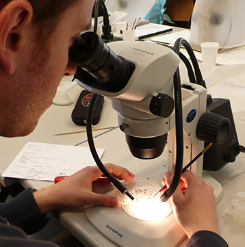 Imagen observando a través del microscopio