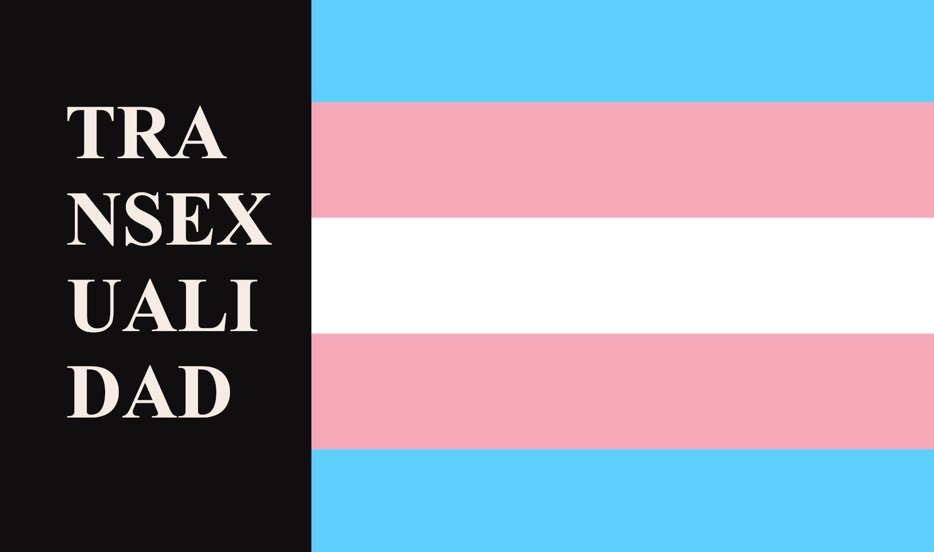 Bandera Transexualidad