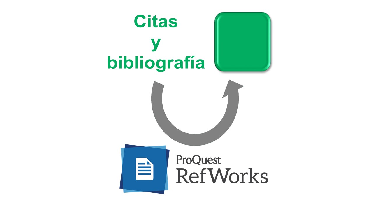 Citas y bibliografía