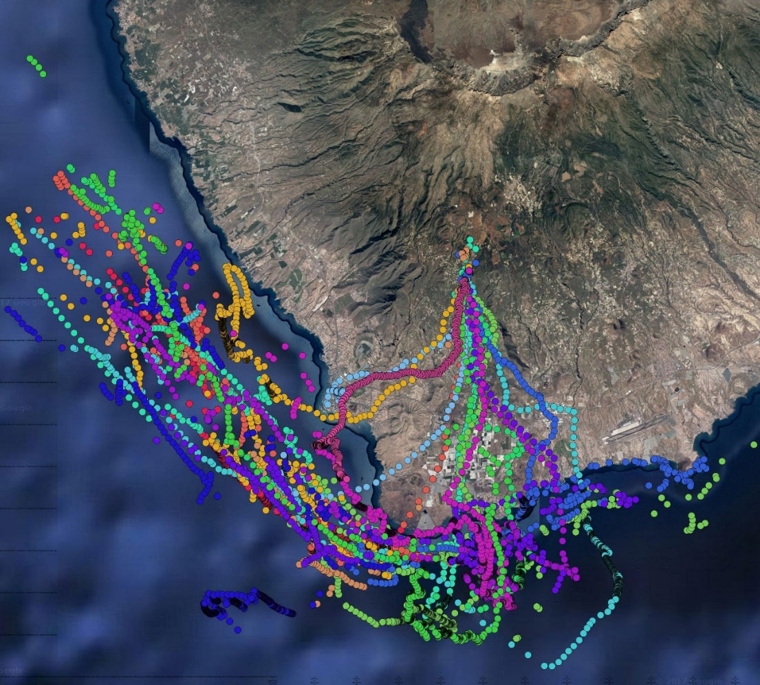 Imagen de un mapa que muestra los vuelos de pollos de pardela cenicienta desde su nido hasta el mar o lugar de aterrizaje