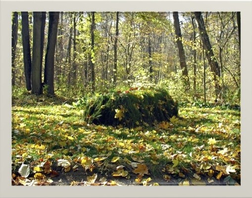 Tumba de Tolstoy en un claro del bosque