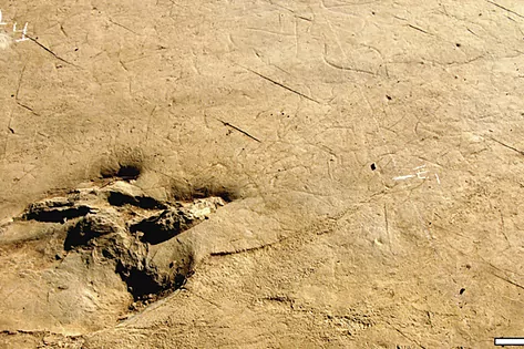 Una de las huellas pertenecientes al rastro fósil encontrado en el yacimiento