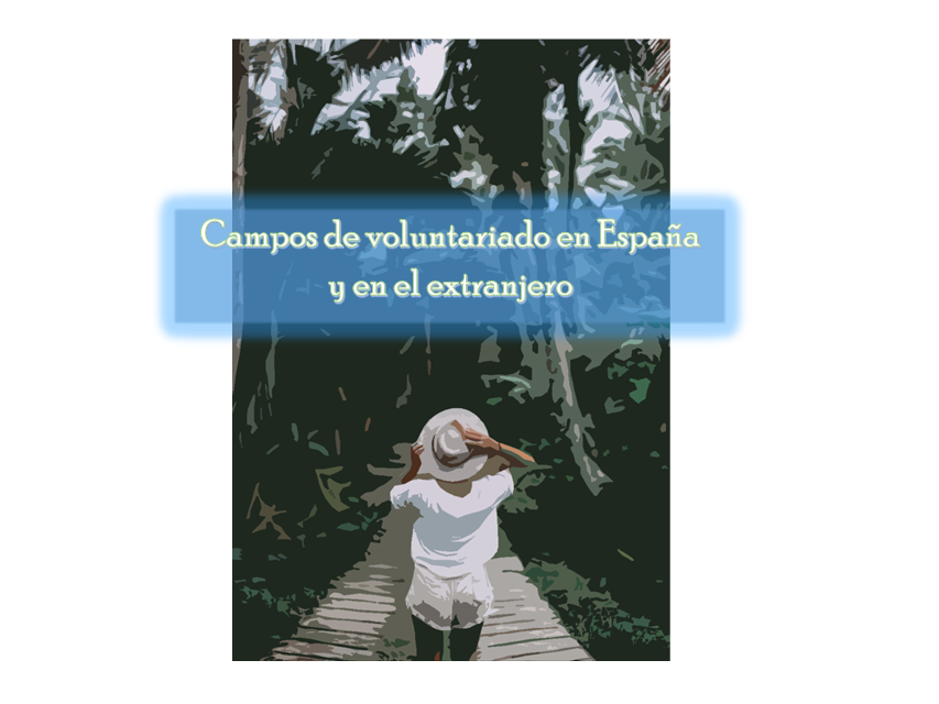 Imagen Campus Voluntariado 2022