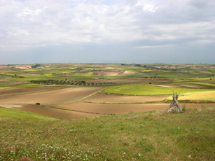 Imagen de un paisaje agrario diverso