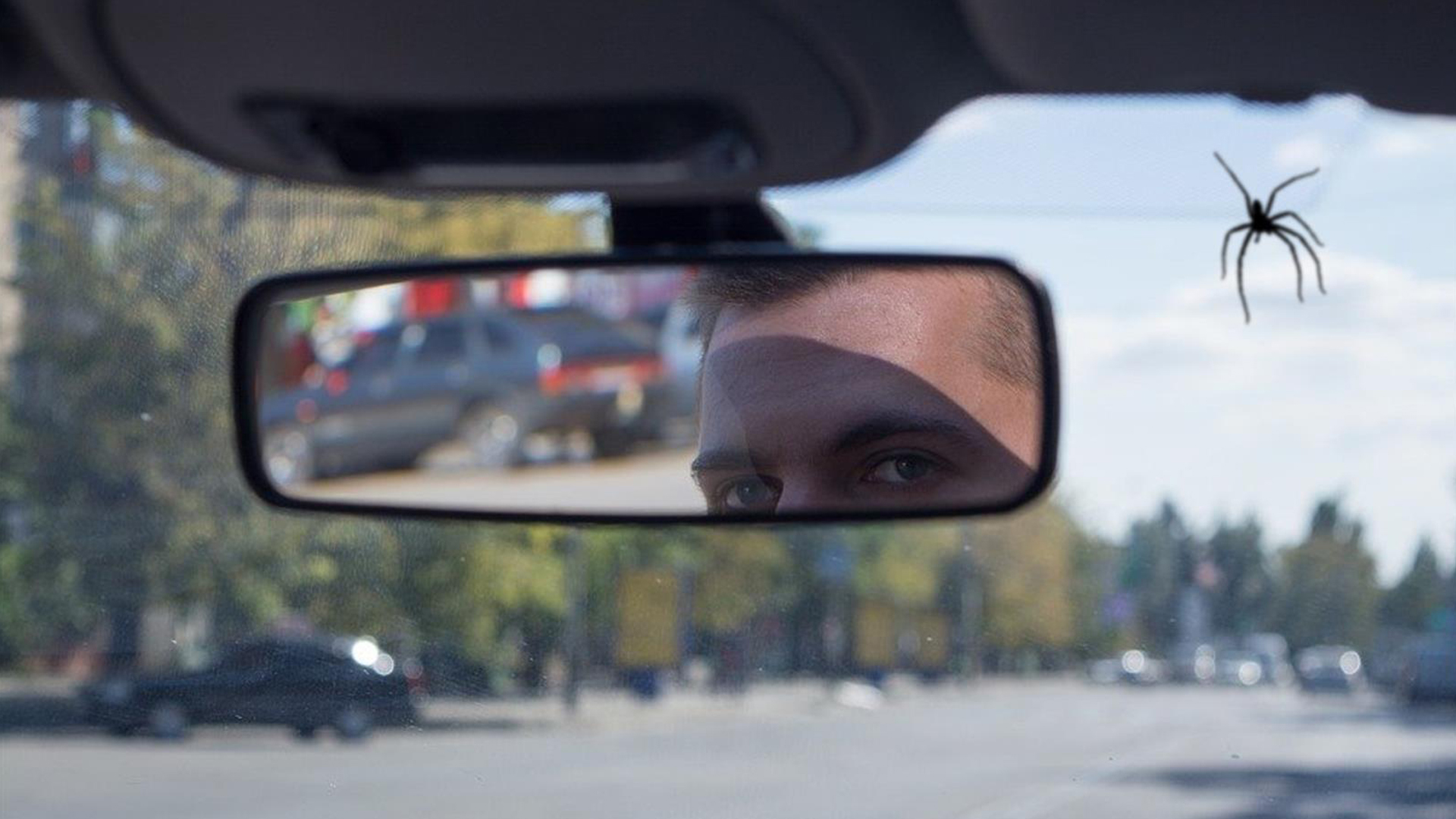 Imagen que muestra a un conductor mirando el retrovisor mientras una araña se posa en la luna del vehículo.