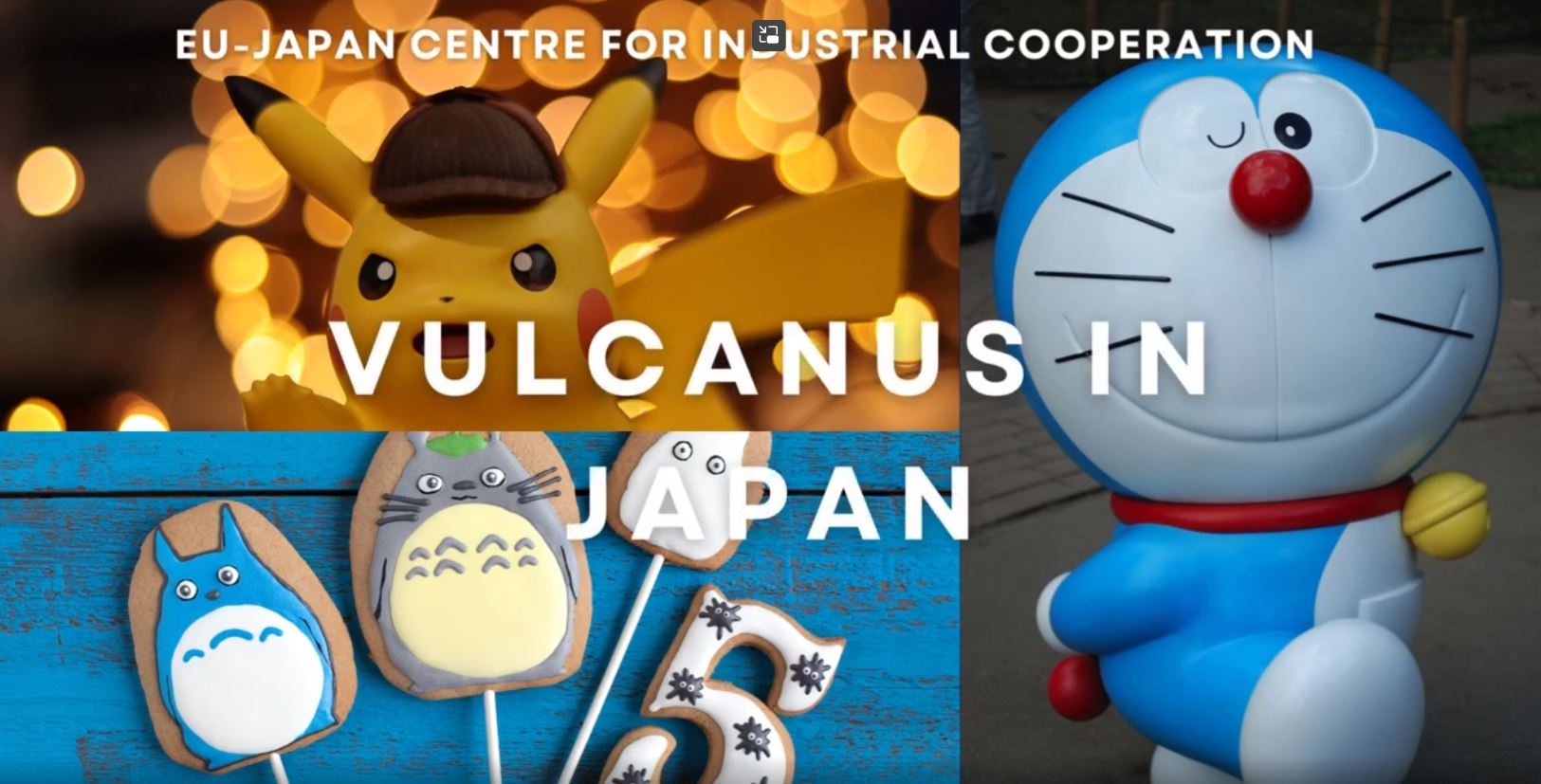 VULCANUS IN JAPAN 2023-24
