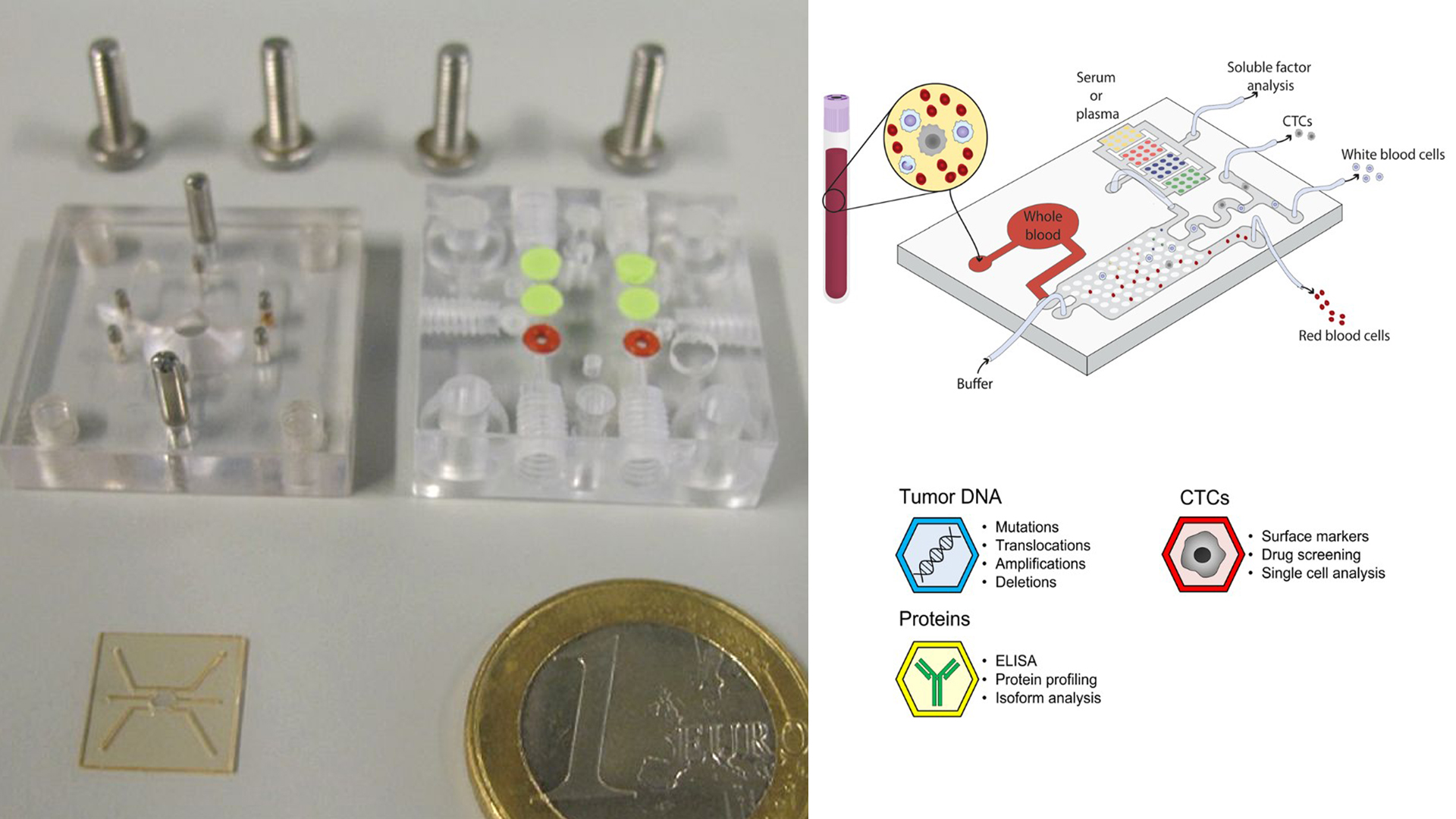 Modelos microfluídicos en un chip.