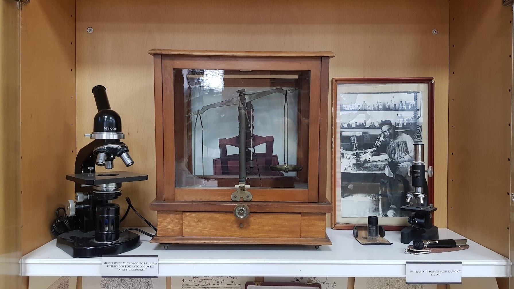 El rincón de Ramón y Cajal en la Biblioteca de Medicina
