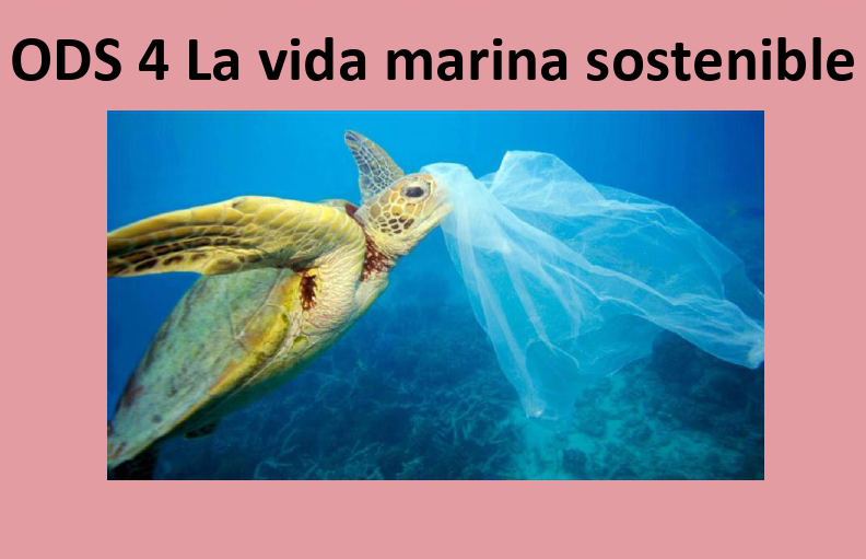 Imagen de la sexta sesión del Seminario Permanente 2022-23