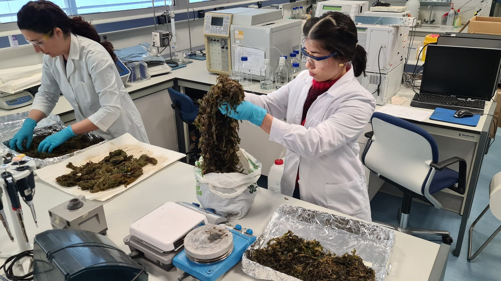 Investigadoras haciendo un cribado de algas en uno de los laboratorios de la Sección Departamental de Ciencias de la Alimentación de la UAM.