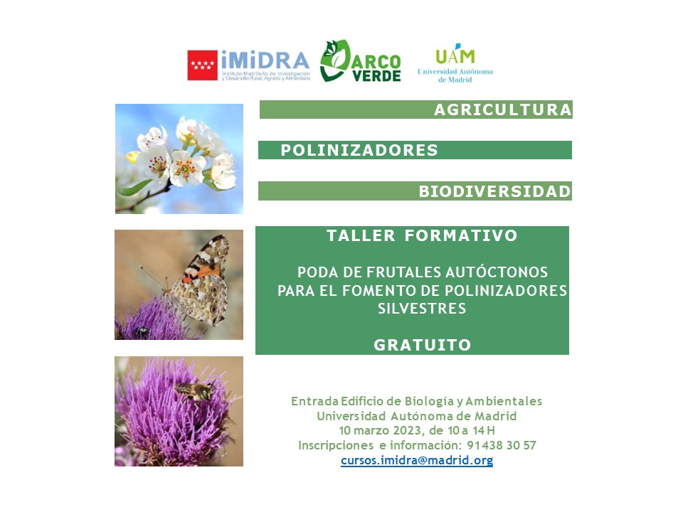 cartel evento