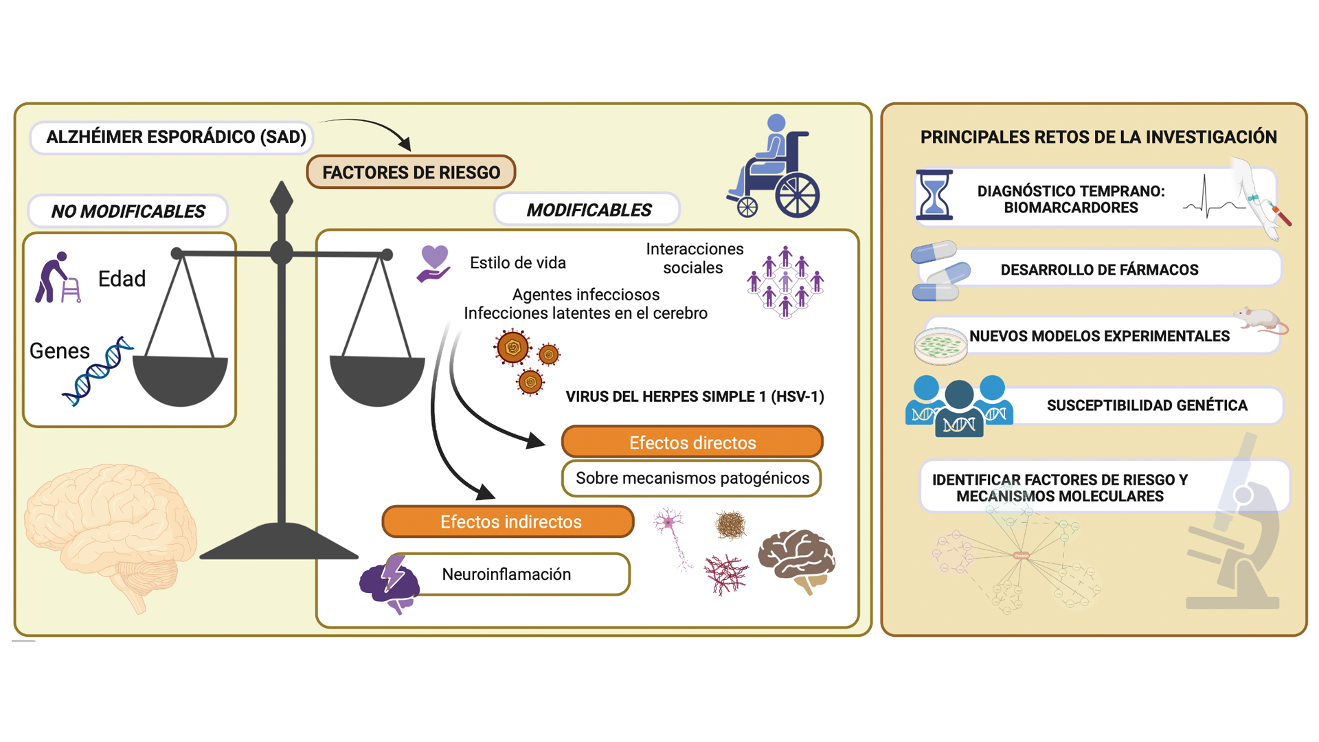 Diagrama que muestra los factores de riesgo en el alzhéimer esporádico y principales retos de la investigación actual