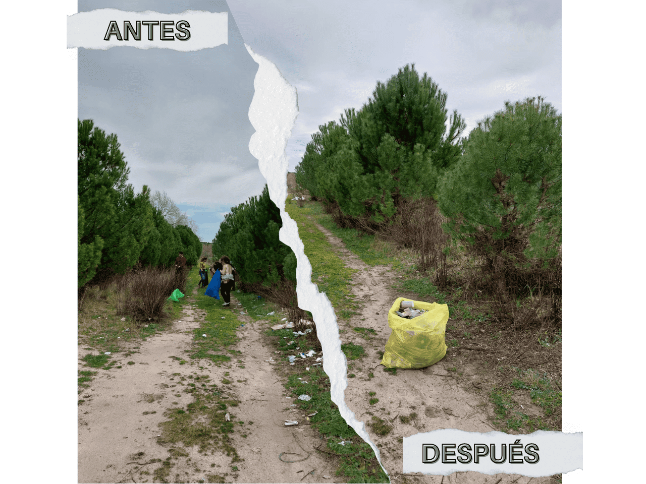 el antes y el después de la recogida de residuos