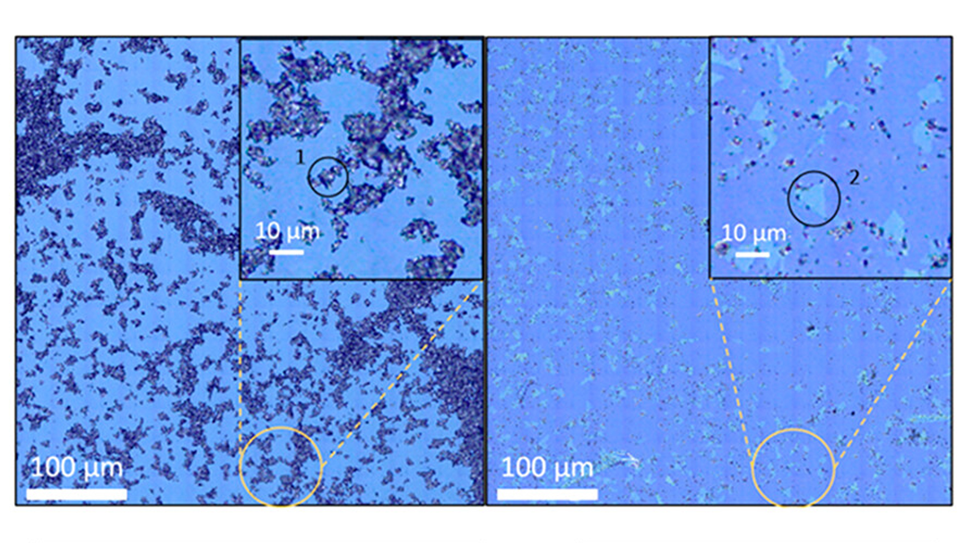 Imagen de la dimensión lateral del copo de MoS2