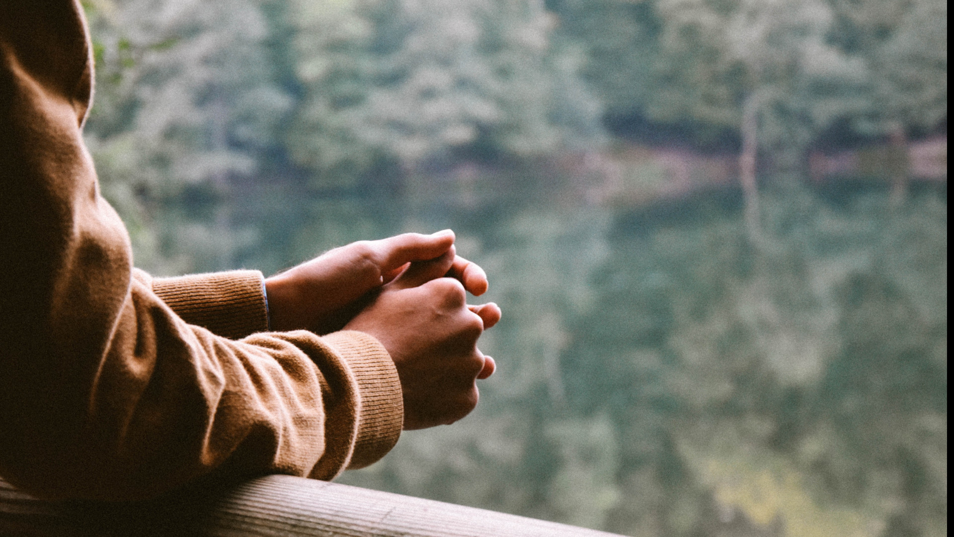 Imagen de manos de persona apoyada en una barandilla mirando a la naturaleza.