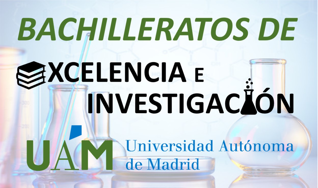 Bachillerato Excelencia / Investigación