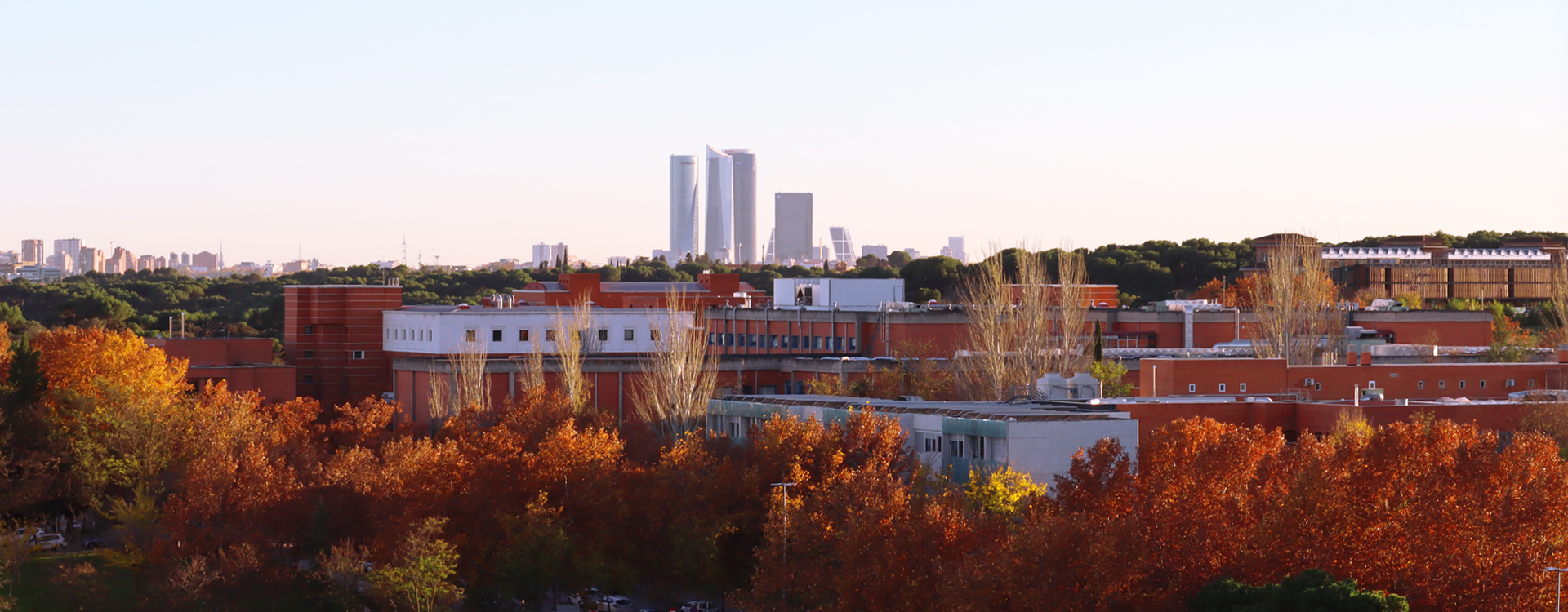 Campus de la UAM con torres de Plaza Castilla al fondo