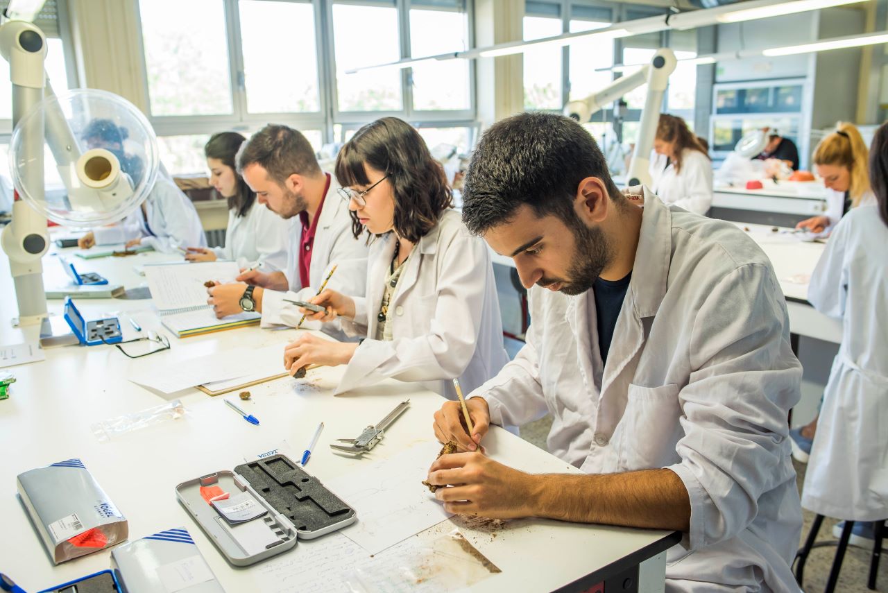 Alumnos en un laboratorio