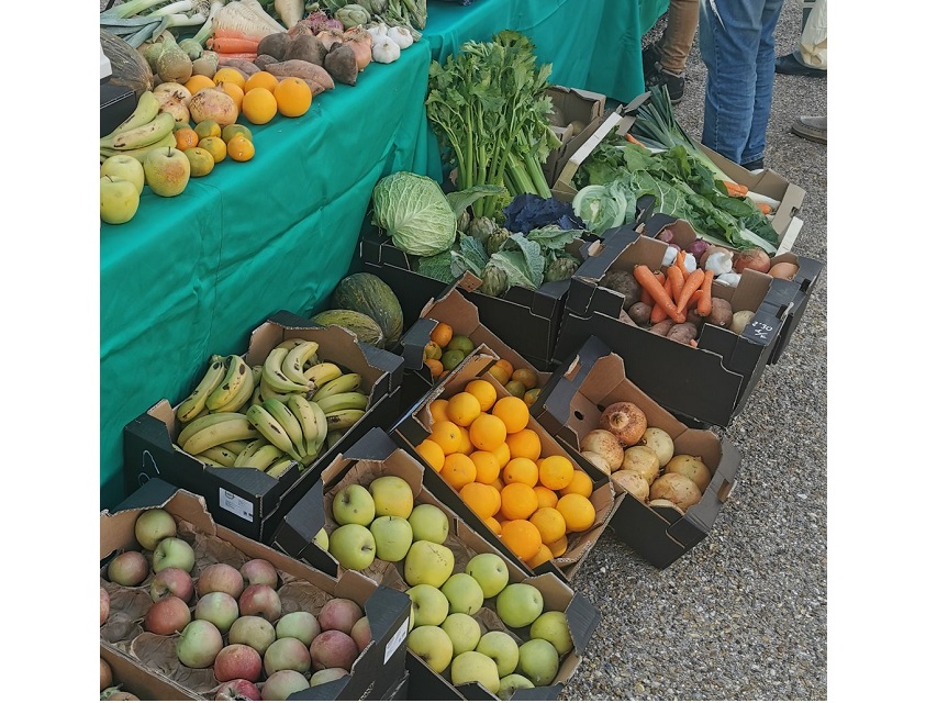 Alimentación Ecológica. Salud y Sostenibilidad 2