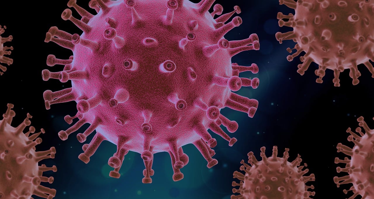 Imagen virtual de un virus en rosa sobre fondo negro.