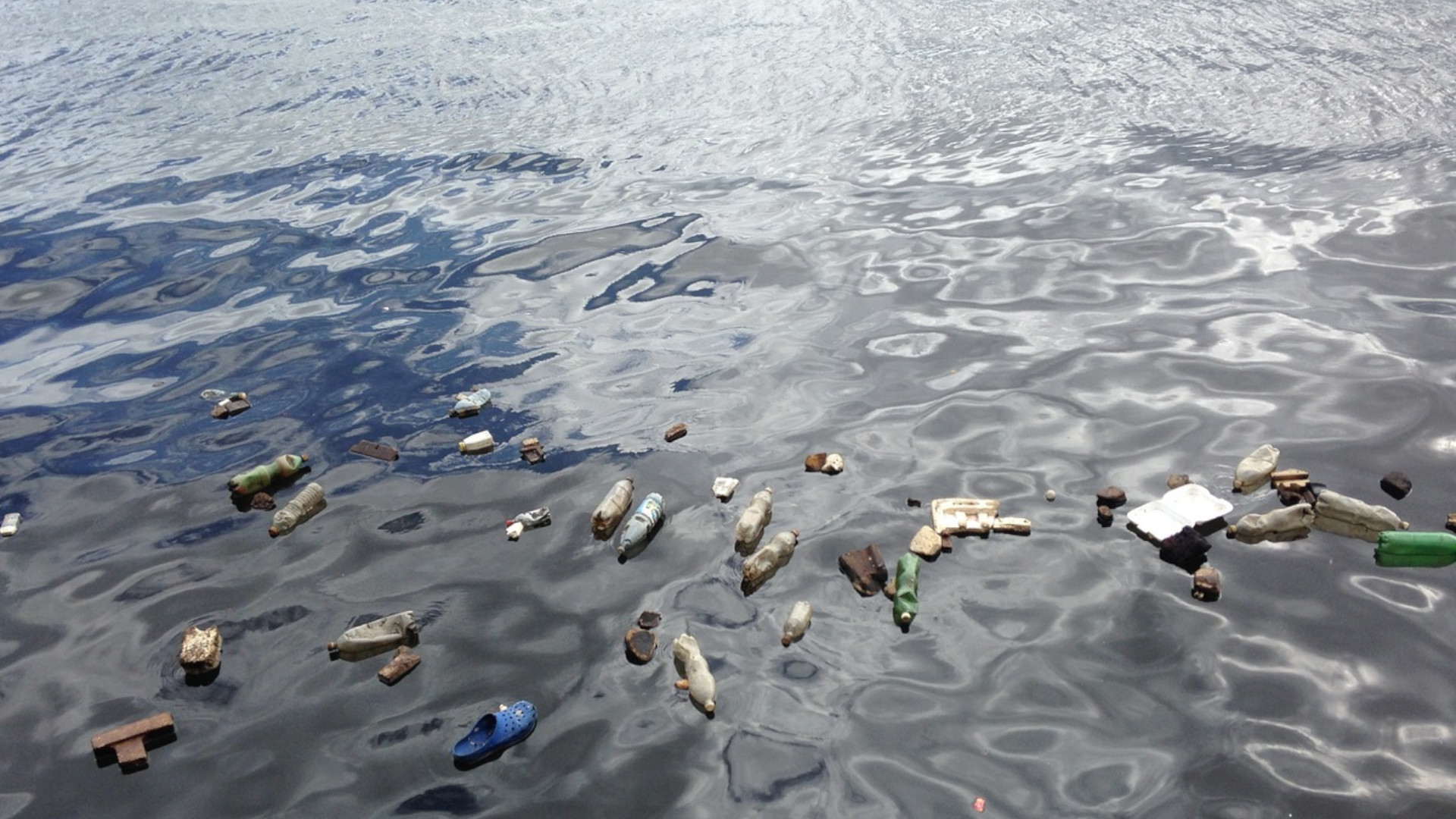 Fotografía a color de aguas contaminadas. 