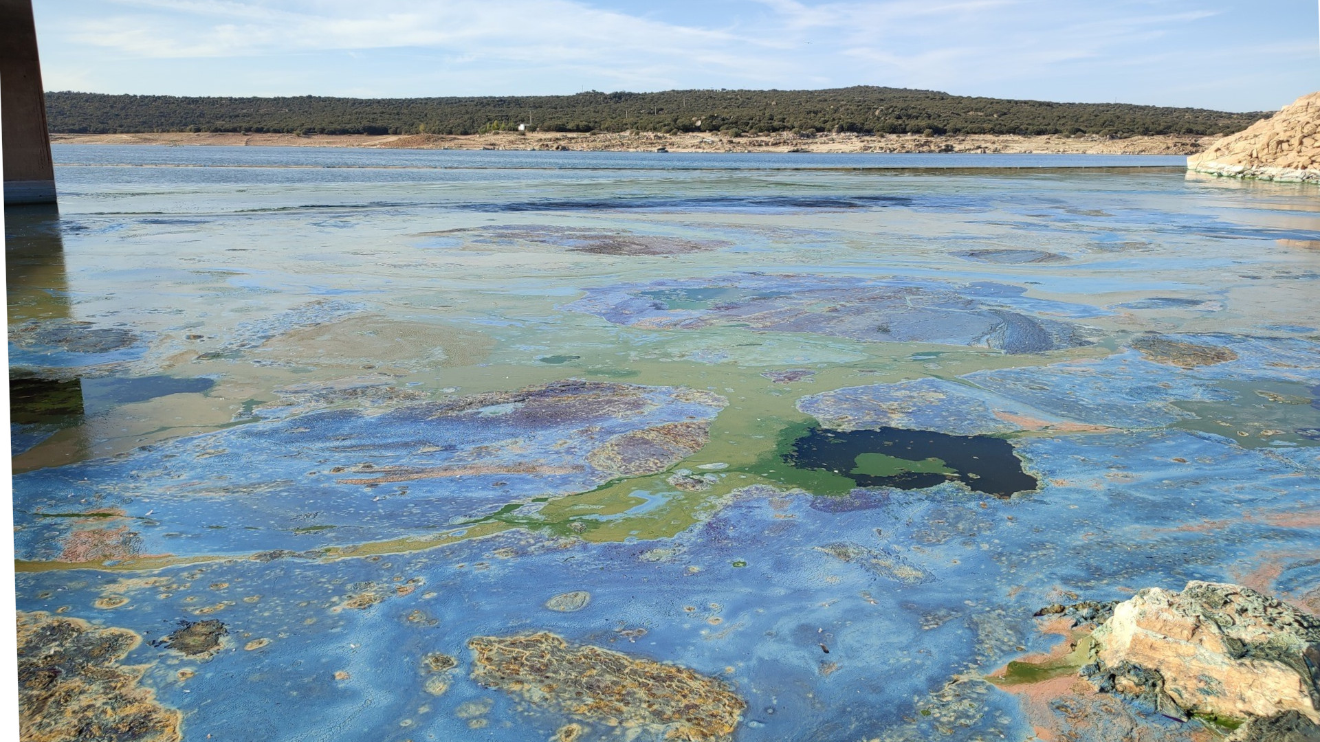 Fotografía de aguas verdosas de un embalse.