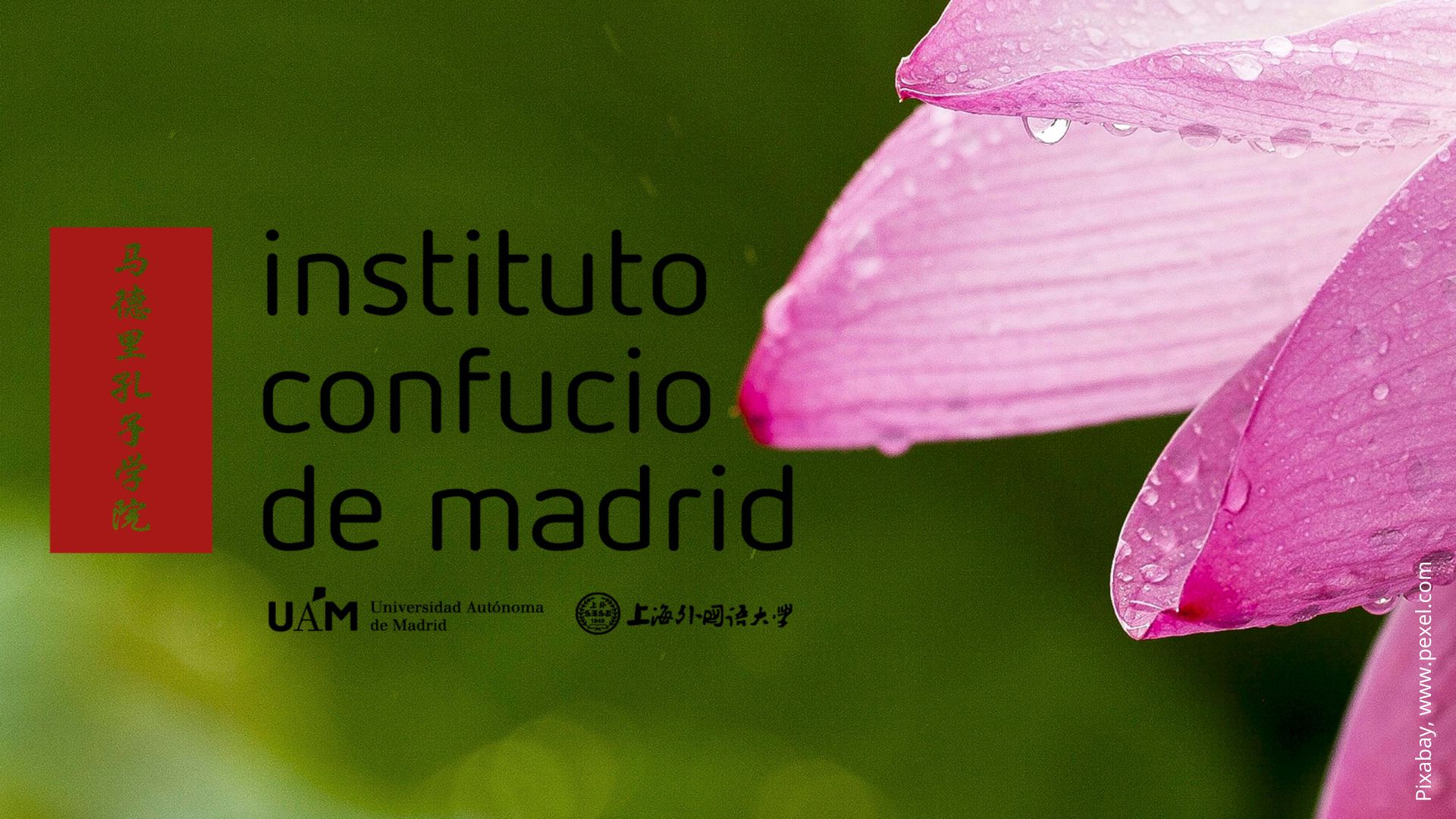 Logo Instituto Confucio
