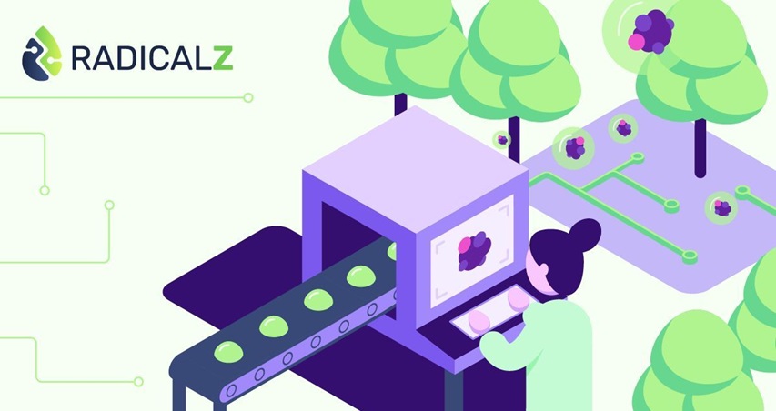 imagen de proyecto Radical Z