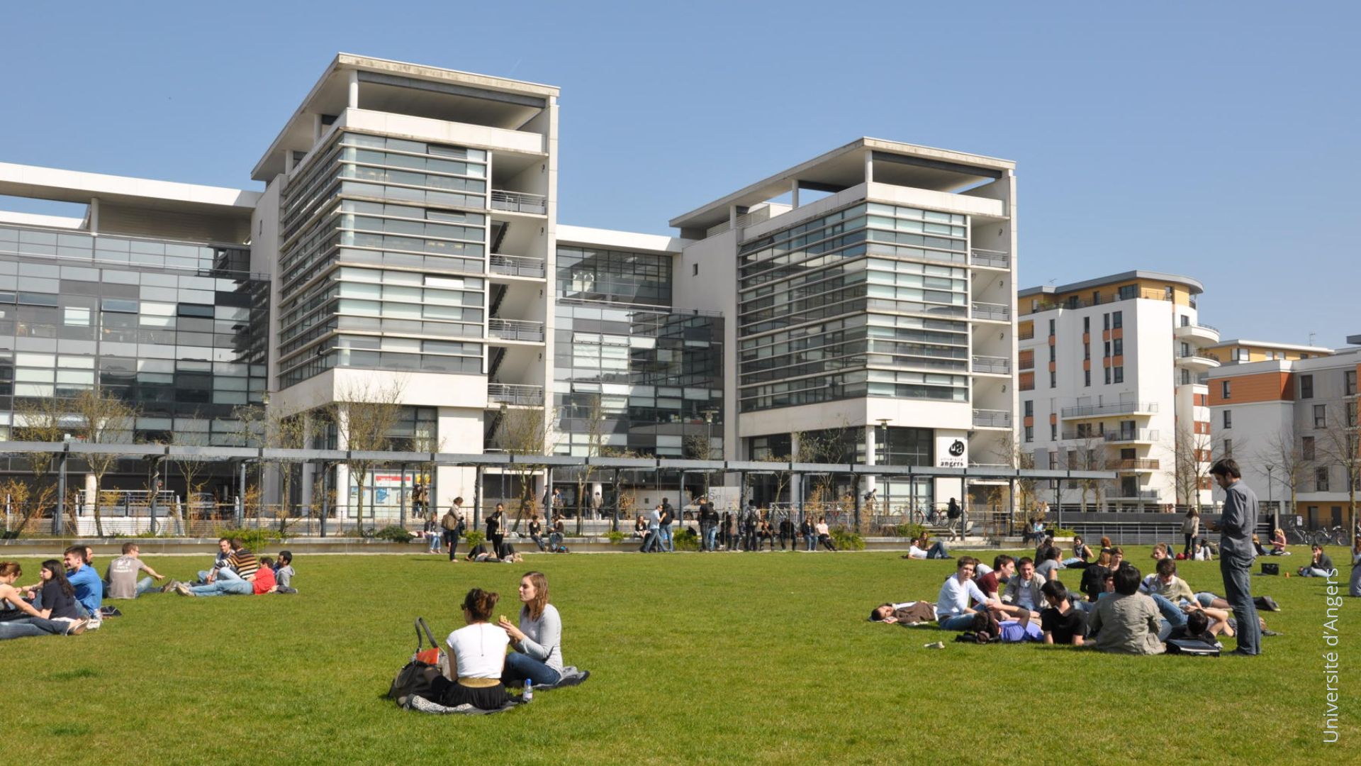 Universidad d'Angers