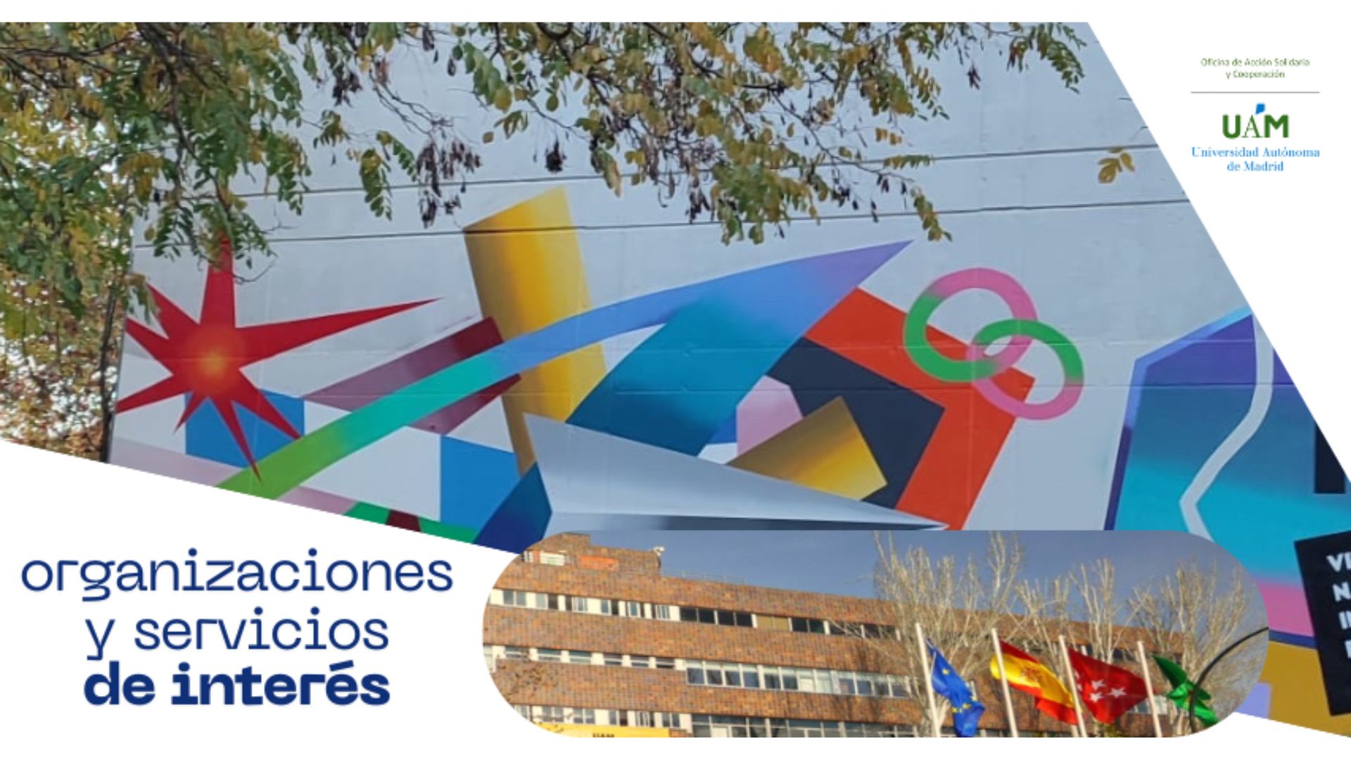 UAM Refugio Organizaciones y Servicios de Interés