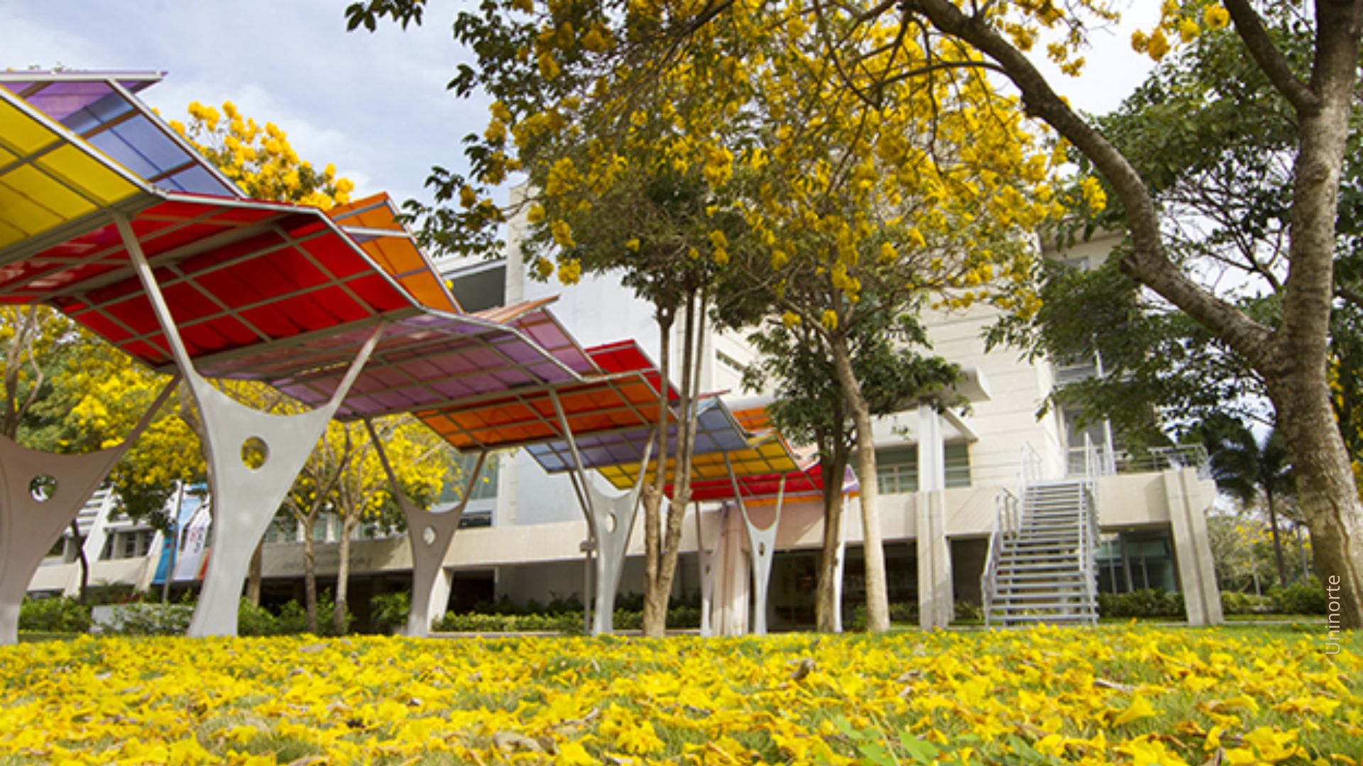 Universidad del Norte de Colombia