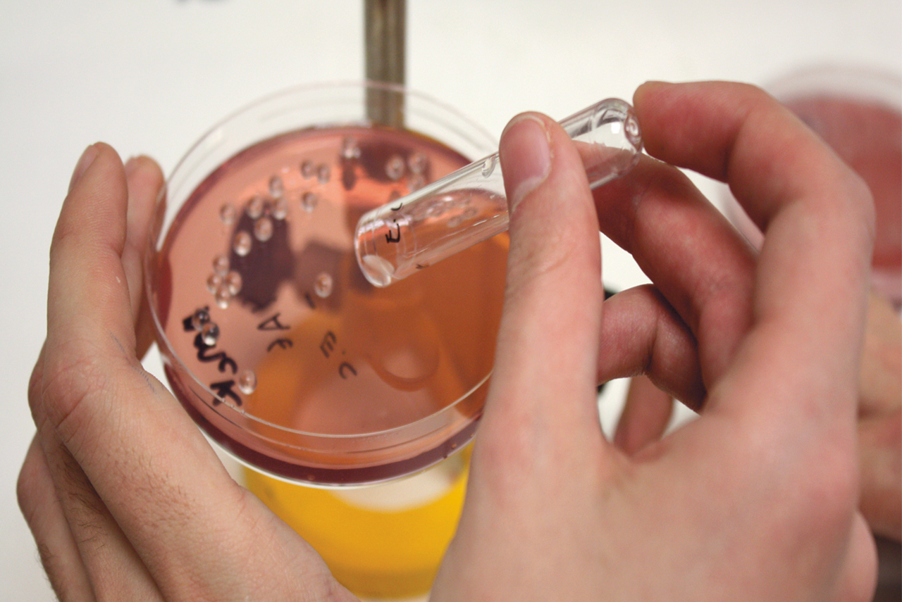 Doble Titulación Química- UAM-Strasbourg